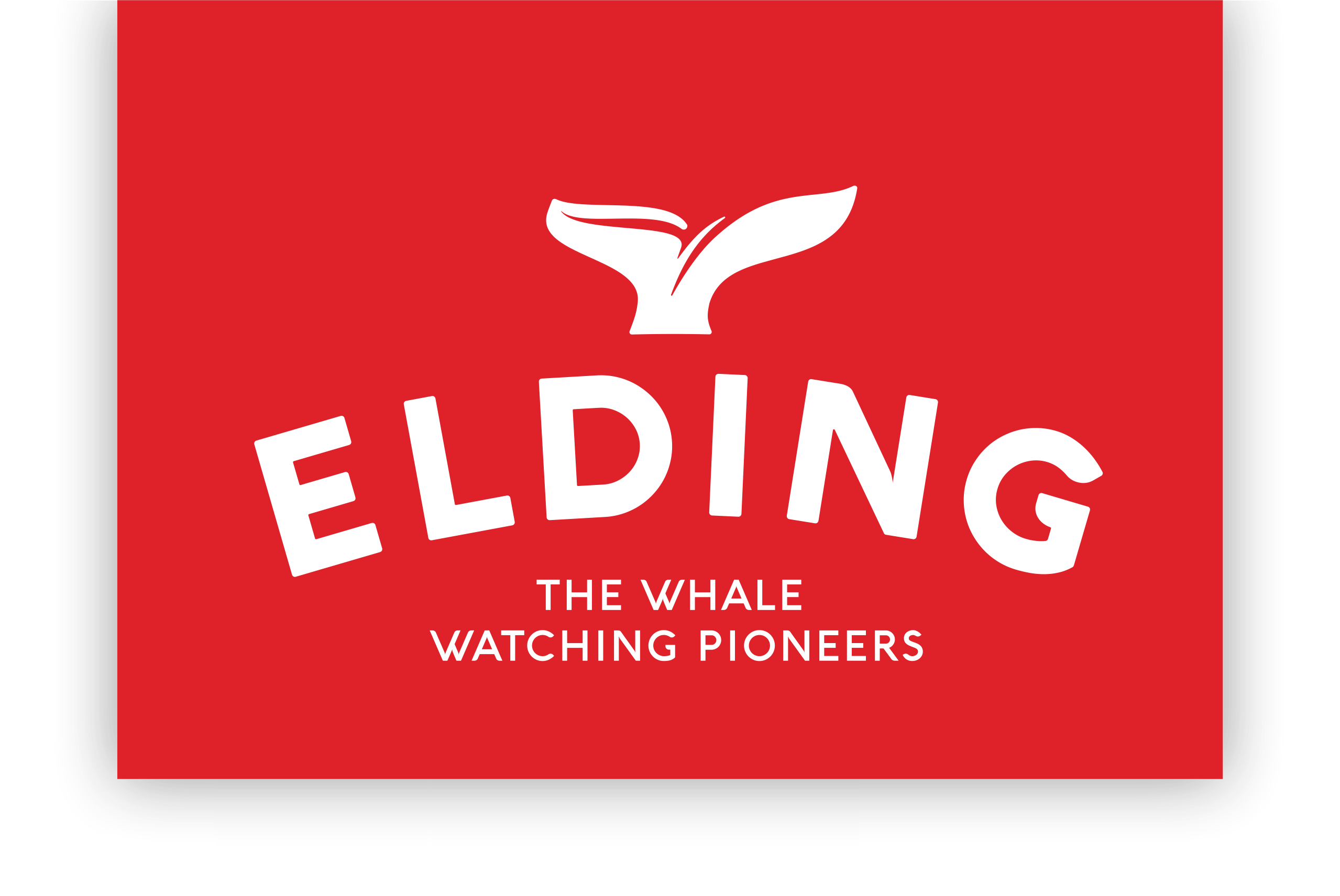 Elding Whale Watching